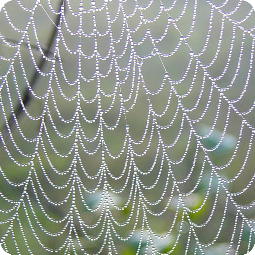 Art of Web