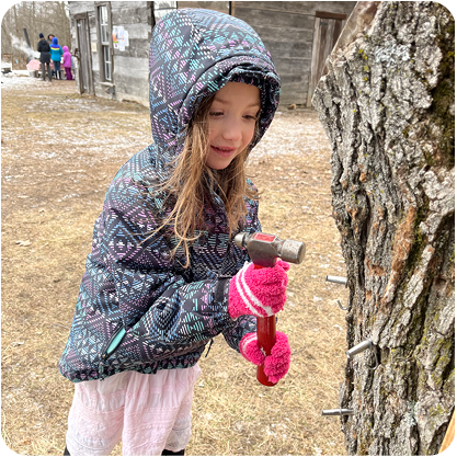 Young girl Tapping a tree