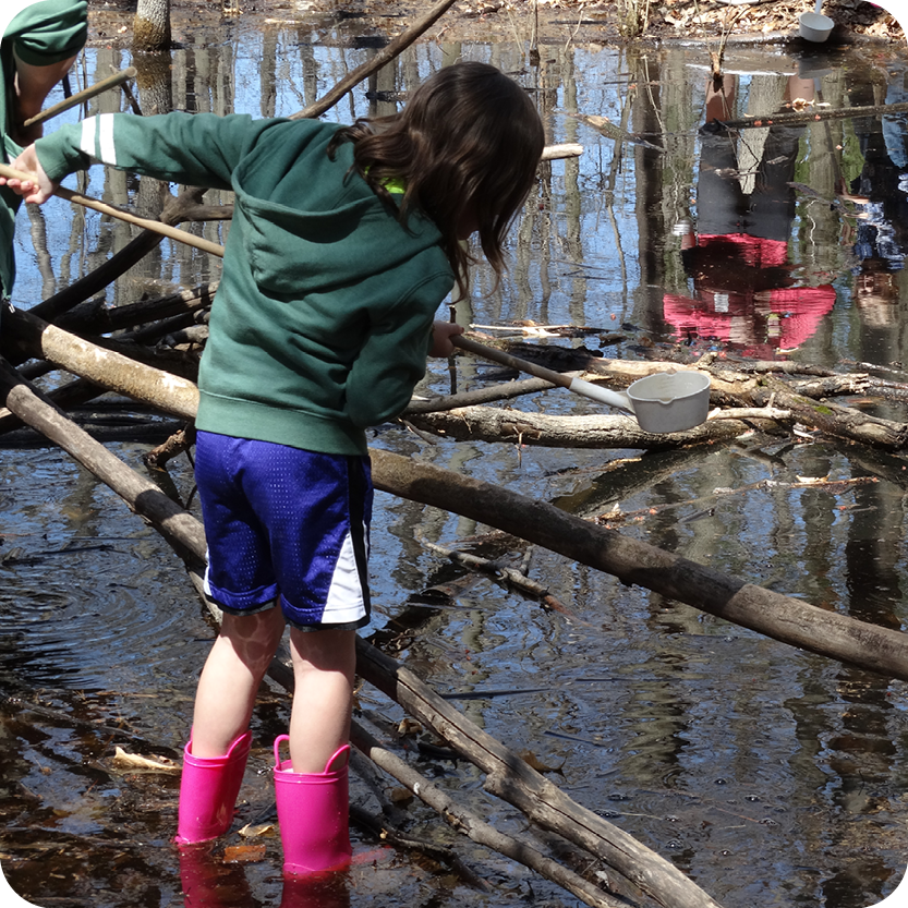 Vernal Pool Exploration