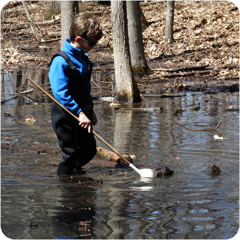 Young boy dipping cup with long handle into vernal pool discovering nature