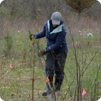 Weekend Land Maintenance