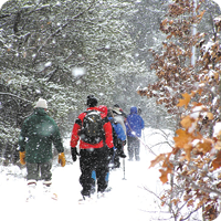 Snowshoe Hike