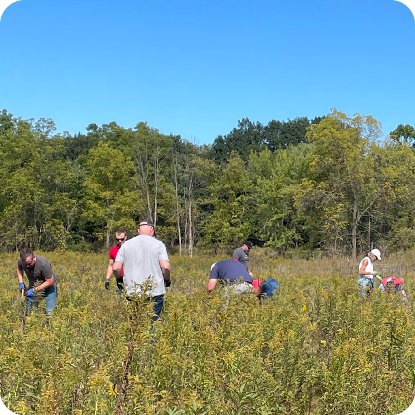 Weekend Land Maintenance