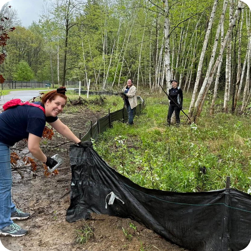 Weekend Land Maintenance