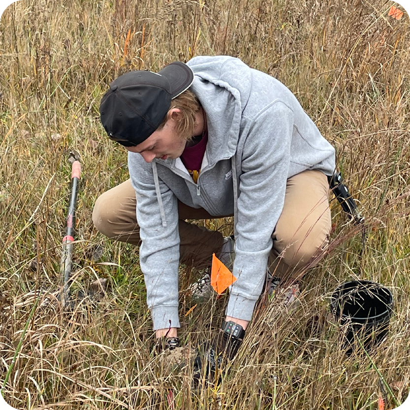 Weekend Land Maintenance