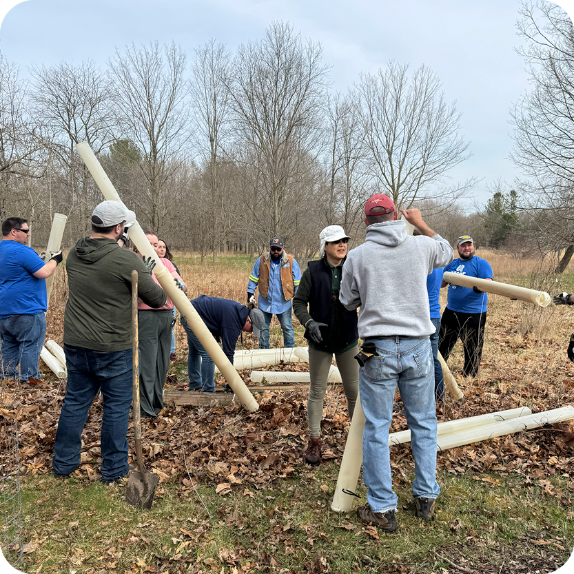 Weekend Land Maintenance