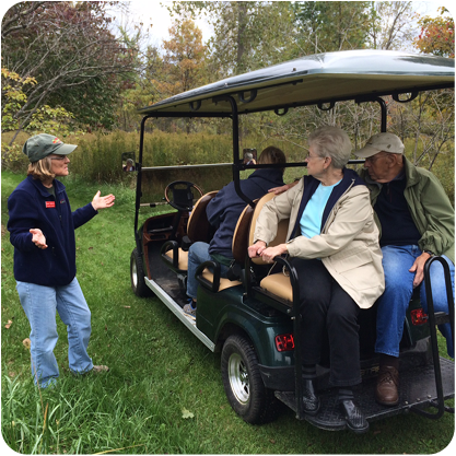 Fall Colors by Golf Cart