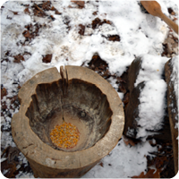 Natural Resource Use by Indigenous People