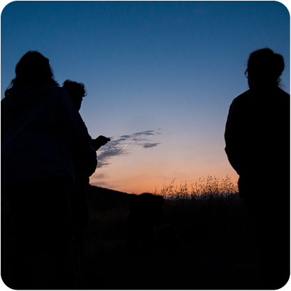 Forest Night Hike