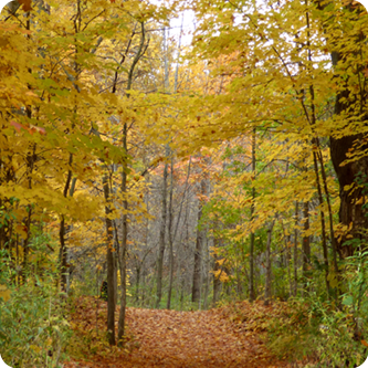 Fall Hike
