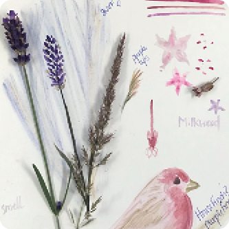 Nature Journaling