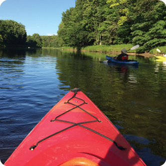 Paddles and Pints