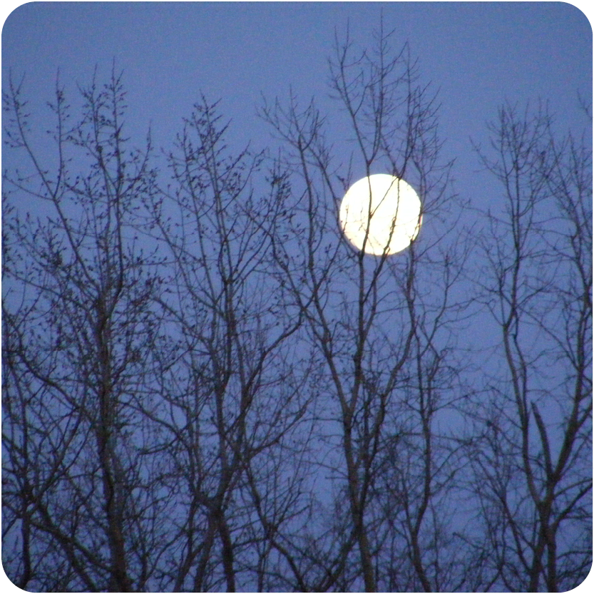 Full Moon in dark cloudy sky