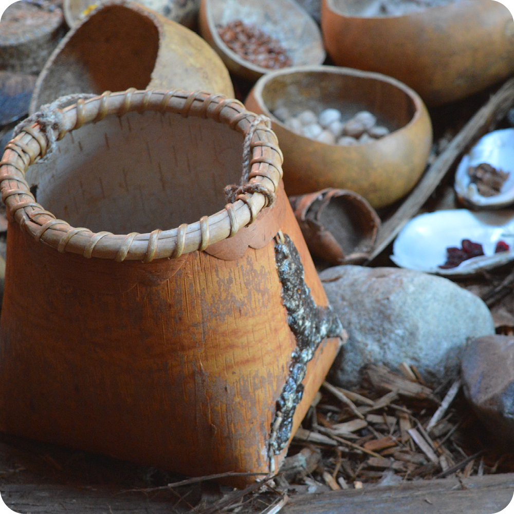 Natural Resource Use by Indigenous People