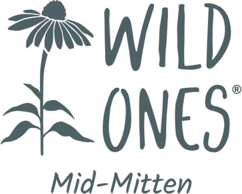 wild ones logo