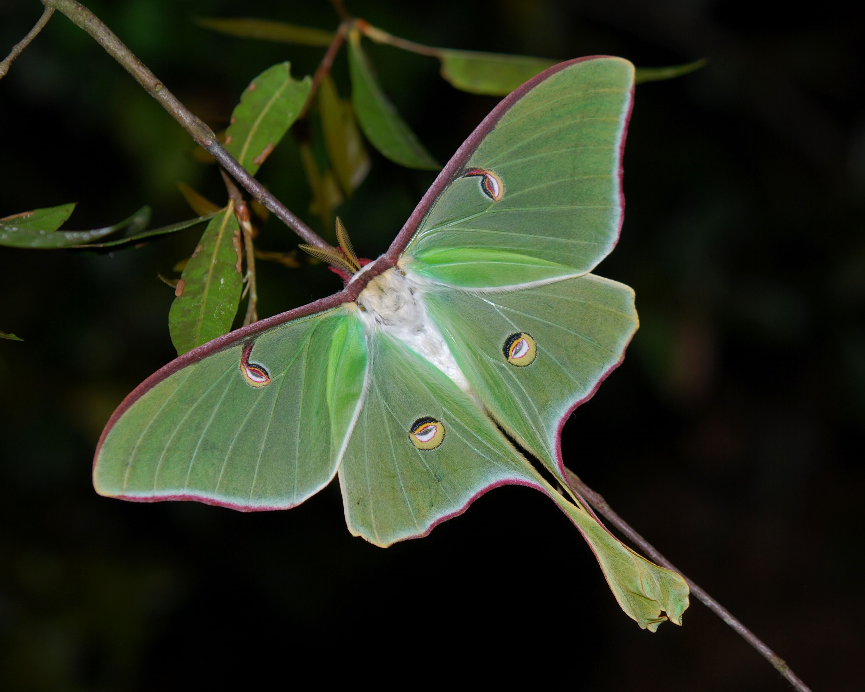 Photo: Creative Commons