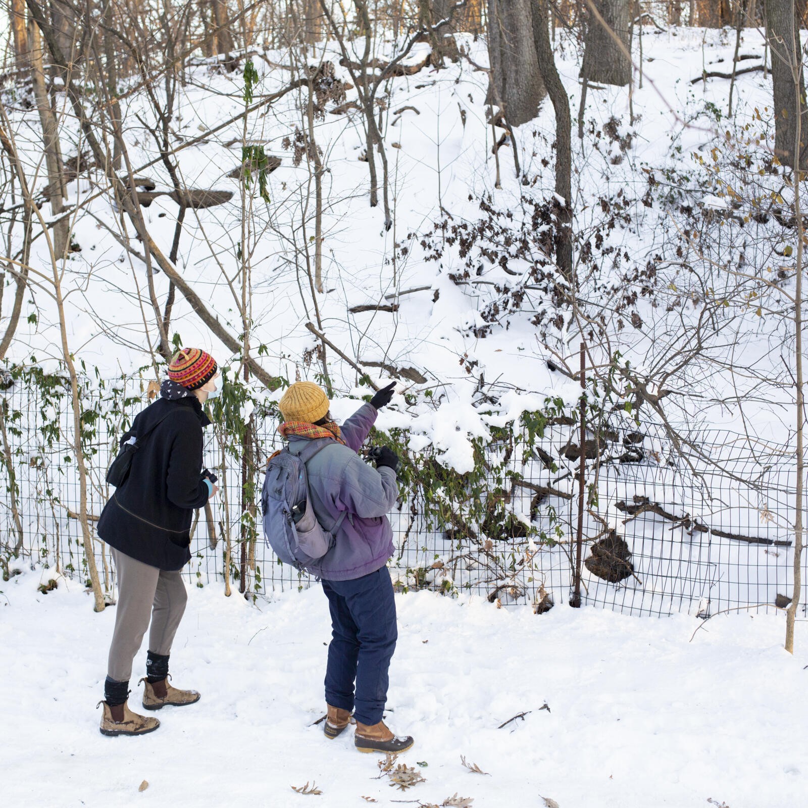 Photo credit to Luke Franke, Network Photographer/Photo Editor for the National Audubon Society