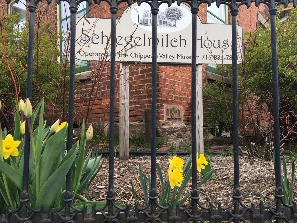 ground-level view through wrought iron fencing of a sign saying "Schlegelmilch House operated by the Chippewa Valley Museum 715-834-7871." Sign stands in front of the corner of a brick building with windows visible to each side. Yellow daffodils bloom in the foreground.