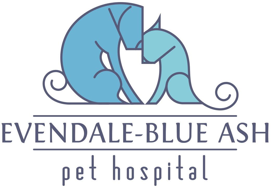 Evendale Blue Ash Pet Hospital