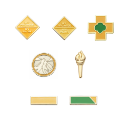 Ambassador Award Pins