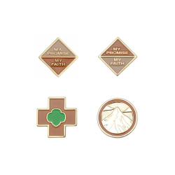 Brownie Award Pins