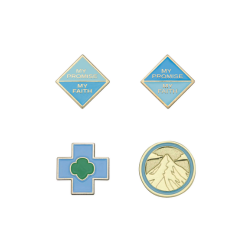 Daisy Award Pins