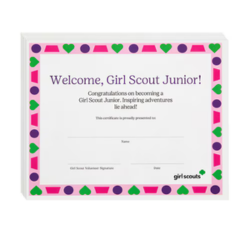 Junior Bridging Certificate
