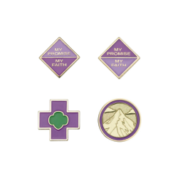 Junior Award Pins