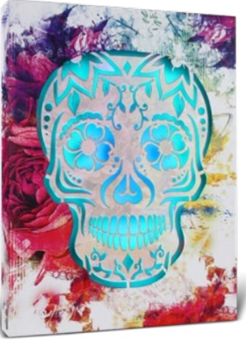 Sugar Skull LED Wall Art