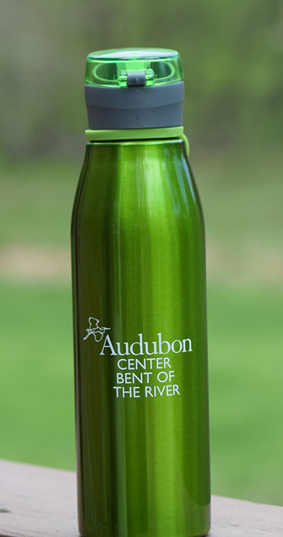 Water Bottle- Green