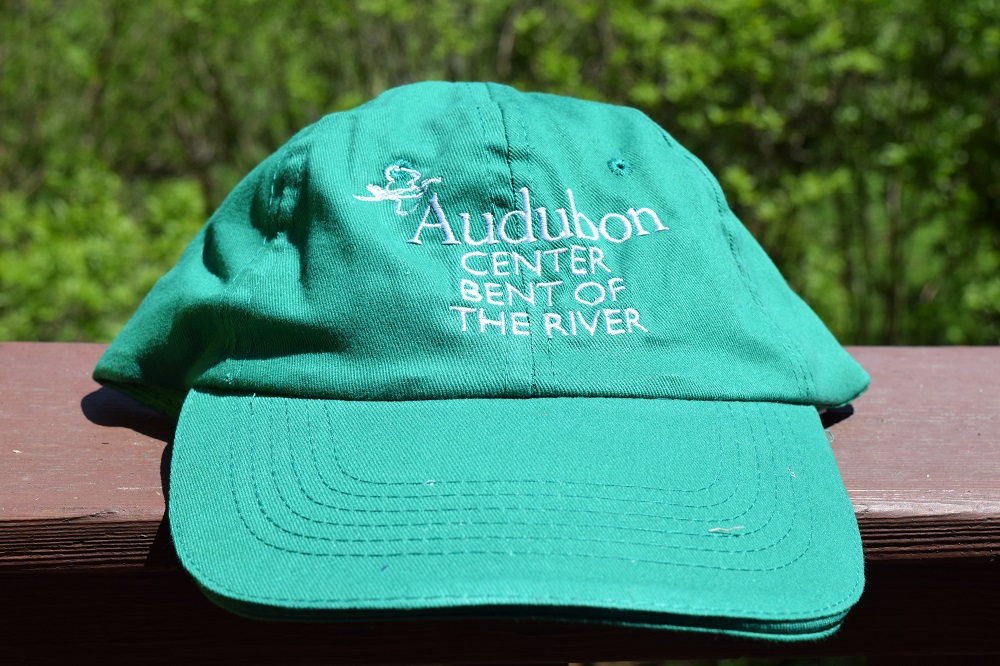 Front Runner Cap in Green