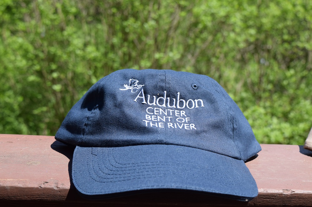 Front Runner Cap in Royal Blue