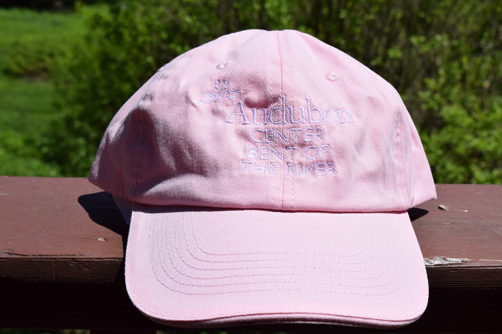 Front Runner Cap in Pink