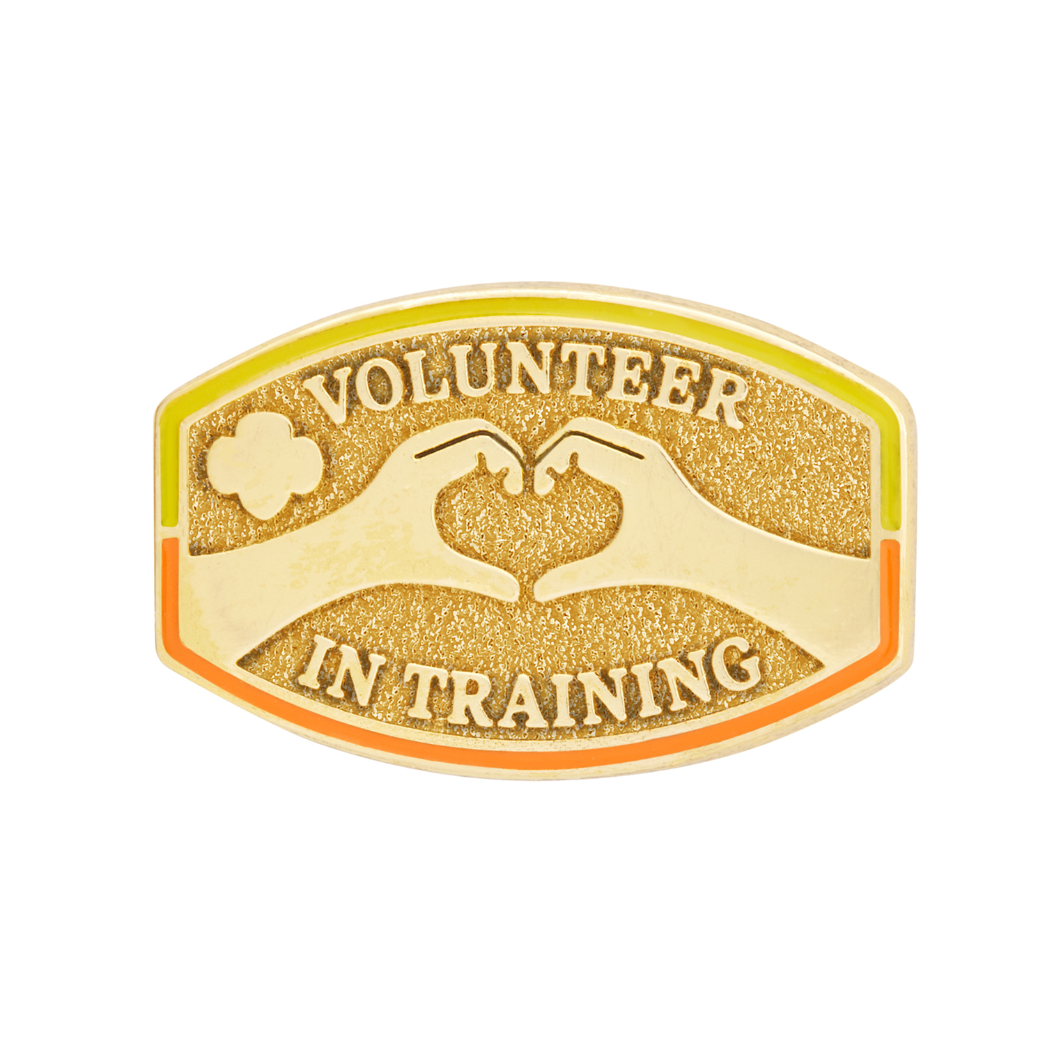 Volunteer in Training 1 Award Pin