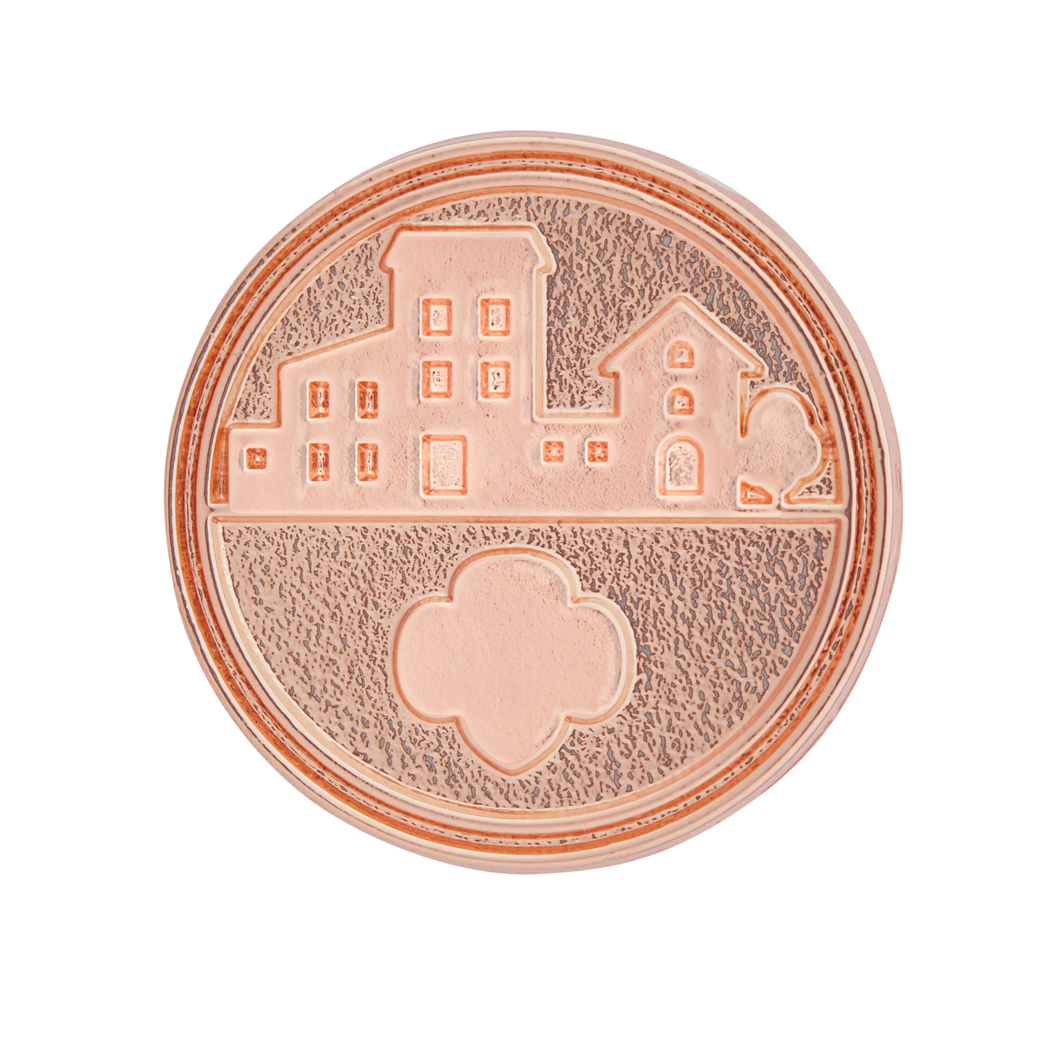 Take Action Award Pin 