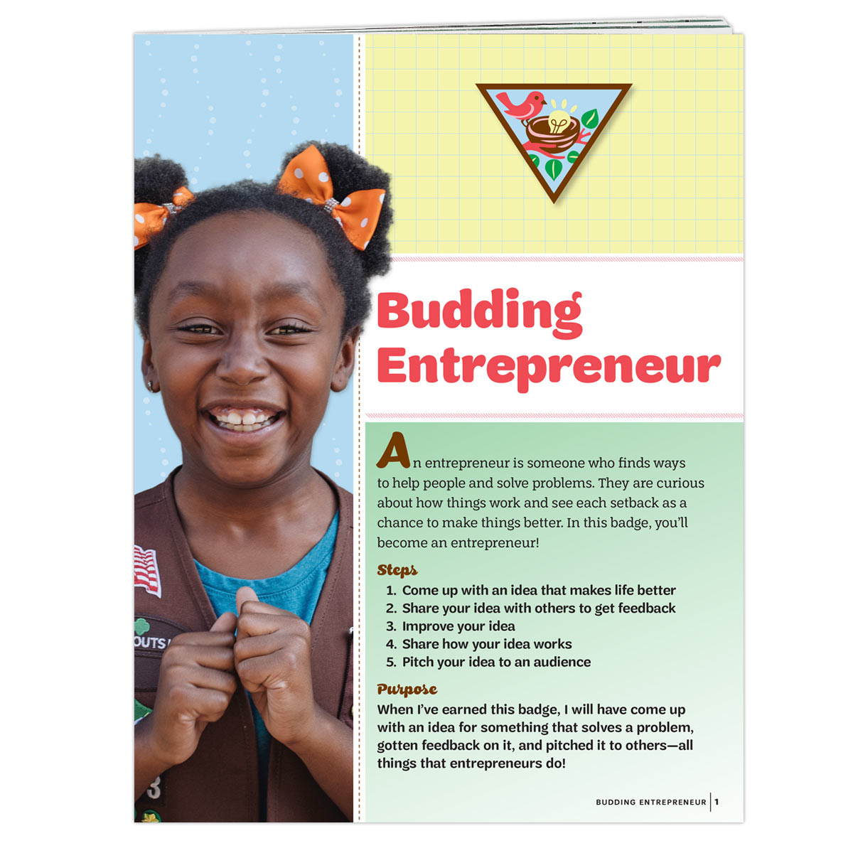 Br. Budding Entrepreneur REQ