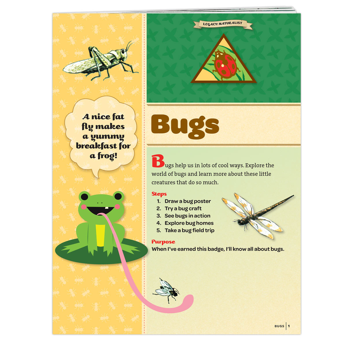 Br. Bugs REQ
