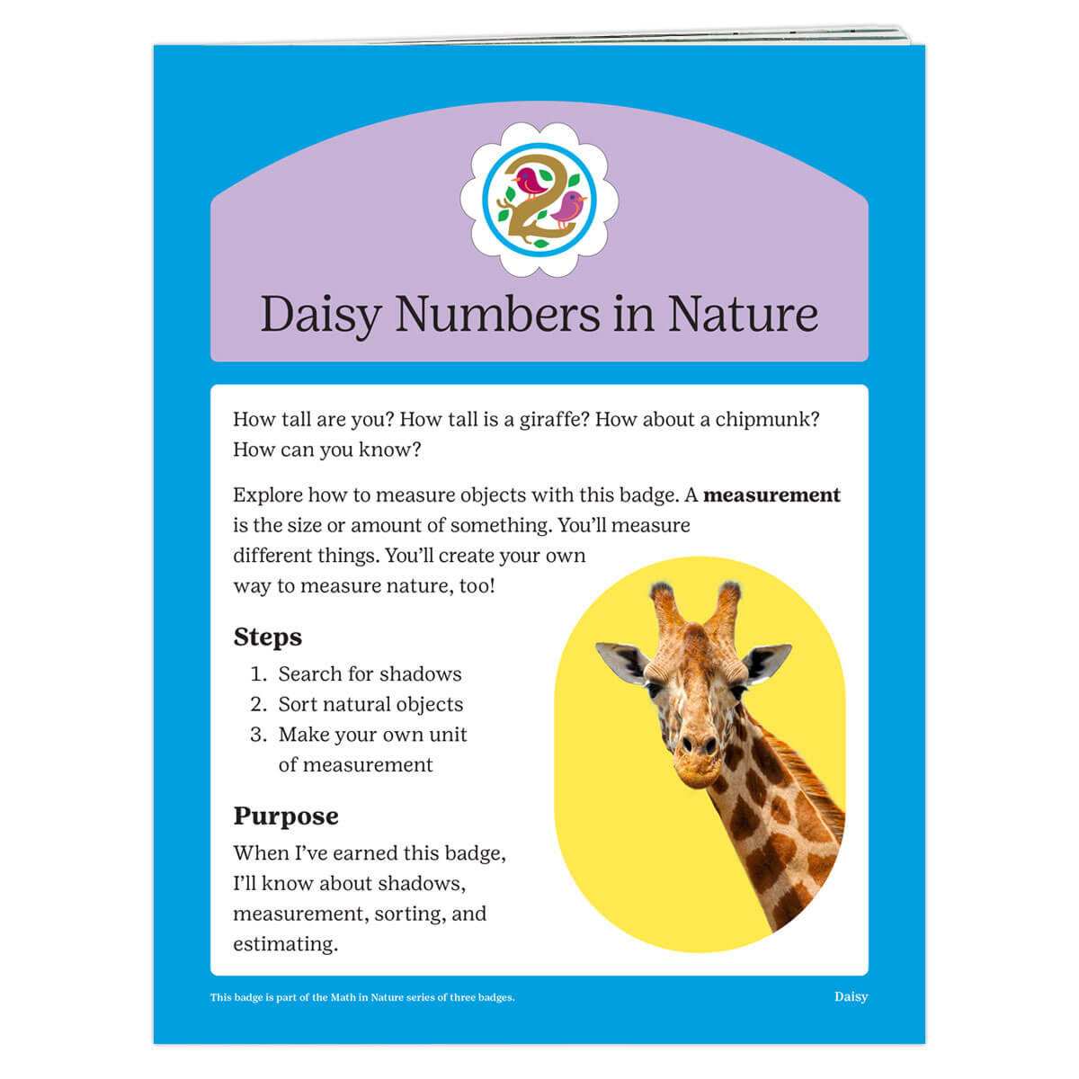 Daisy Numbers In Nature REQ