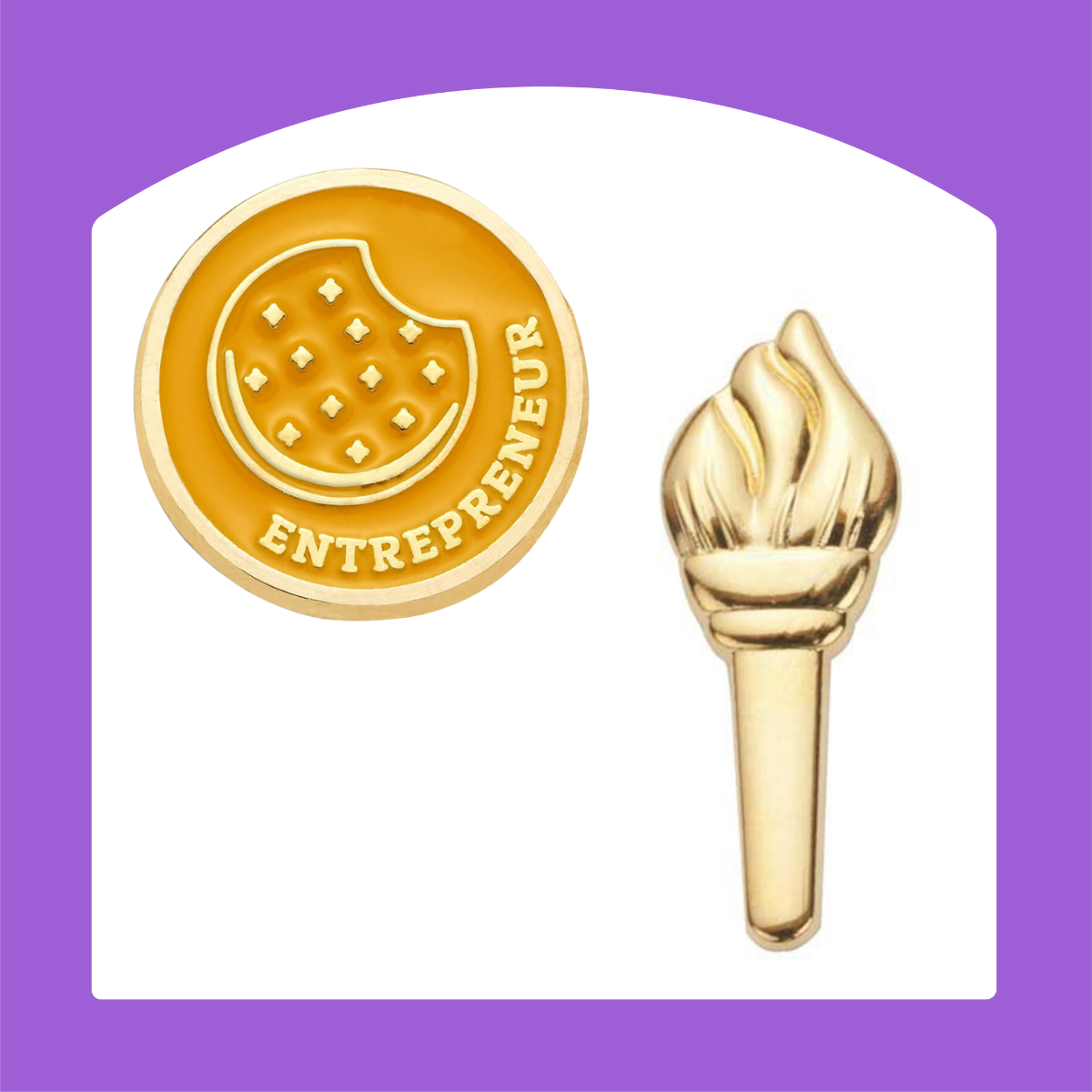 Ambassador Pins