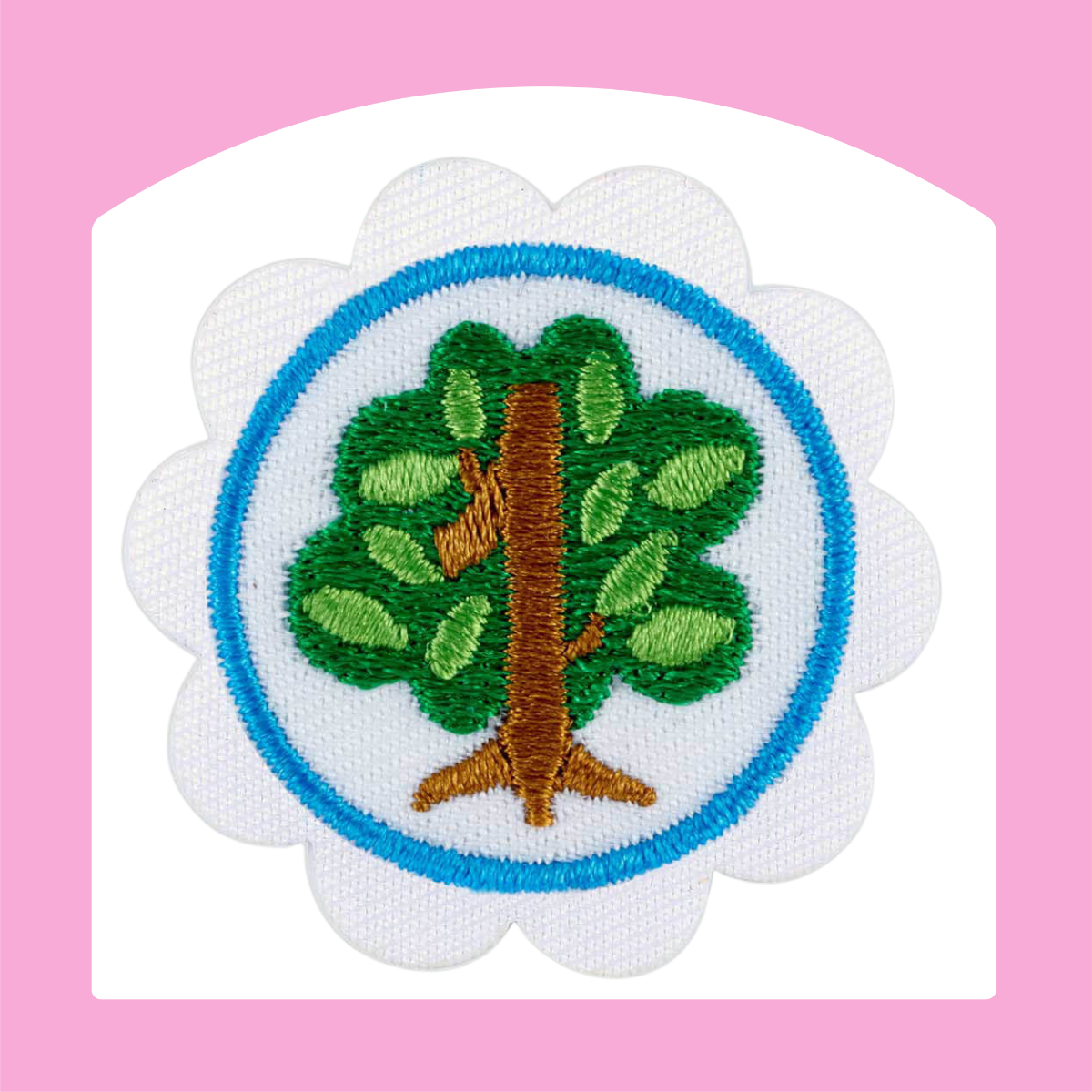 Daisy Badges