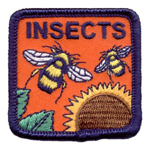 Insects 