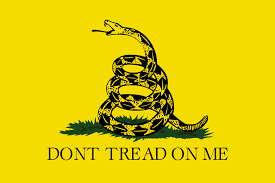 Flag - Gadsden Small