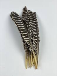 Quill