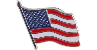 Lapel Pin - 35 Star