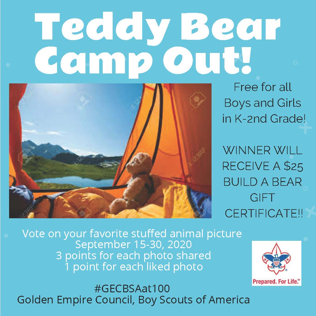 Team Adventure Camp Winton Golden Empire Council Boy Scouts Scout Patch